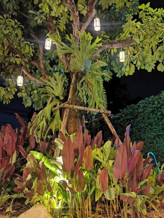 M5 Hotel 清邁 外观 照片